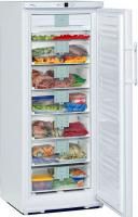 Морозильник Liebherr GNP 36560 Premium NoFrost - купить за 62&nbsp;200.49 ₽ в Москве с доставкой по РФ