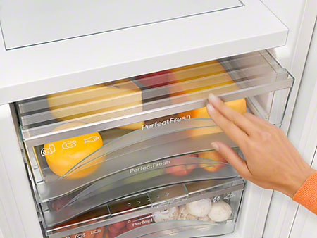 Холодильник Miele KFN 29483 D EDT/CS - купить онлайн, цена 299 000 ₽, стоимость доставки по МСК и РФ от 300 рублей, заказать сейчас! Холодильник Miele KFN 29483 D EDT/CS купить за 299 000 ₽ в Москве с доставкой по РФ