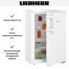 Холодильник Liebherr Re 1400 купить за 45&nbsp;000.19 ₽ в Москве с доставкой по РФ