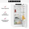 Холодильник Liebherr Rd 4200 Pure - купить онлайн, цена 83 000.21 ₽, стоимость доставки по МСК и РФ от 300 рублей, заказать сейчас! Холодильник Liebherr Rd 4200 Pure купить за 83 000.21 ₽ в Москве с доставкой по РФ