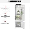 Встраиваемый холодильник Liebherr ICBSd 5122 Plus - купить онлайн, цена 165 000.20 ₽, стоимость доставки по МСК и РФ от 300 рублей, заказать сейчас! Встраиваемый холодильник Liebherr ICBSd 5122 Plus купить за 165 000.20 ₽ в Москве с доставкой по РФ