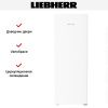 Морозильник Liebherr FNe 5006 купить за 121&nbsp;000.19 ₽ в Москве с доставкой по РФ
