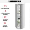Холодильник Liebherr RBsfc 5220 купить за 135&nbsp;000.22 ₽ в Москве с доставкой по РФ