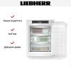 Встраиваемый морозильник Liebherr IFNbi 3553 Prime купить за 146&nbsp;000.12 ₽ в Москве с доставкой по РФ