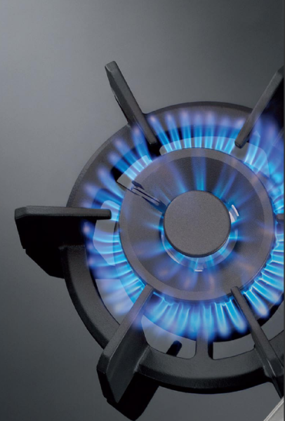 Варочная панель Neff T69S86N0 - купить за 717&nbsp;200 ₽ в Москве с доставкой по РФ