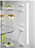 Холодильник Electrolux RNT7ME34K1 - купить онлайн, цена 160 280 ₽, стоимость доставки по МСК и РФ от 300 рублей, заказать сейчас! Холодильник Electrolux RNT7ME34K1 купить за 160 280 ₽ в Москве с доставкой по РФ