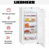 Морозильник Liebherr GNP 1956 купить за 64&nbsp;770.14 ₽ в Москве с доставкой по РФ
