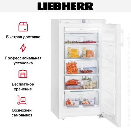 Морозильник Liebherr GNP 1956 купить за 64&nbsp;770.14 ₽ в Москве с доставкой по РФ