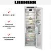 Встраиваемый холодильник Liebherr IRBd 5170 Peak купить за 364&nbsp;500.25 ₽ в Москве с доставкой по РФ