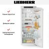 Встраиваемый холодильник Liebherr IRd 4520 купить за 169&nbsp;000.11 ₽ в Москве с доставкой по РФ