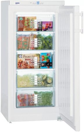 Морозильник Liebherr G 2033 Comfort SuperFrost - купить онлайн, цена 41 890.27 ₽, стоимость доставки по МСК и РФ от 300 рублей, заказать сейчас! Морозильник Liebherr G 2033 Comfort SuperFrost купить за 41 890.27 ₽ в Москве с доставкой по РФ