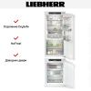 Встраиваемый холодильник Liebherr IXRF 5625 (IRBC4120 + IFNd3503) купить за 266&nbsp;000.44 ₽ в Москве с доставкой по РФ