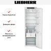 Встраиваемый холодильник Liebherr IRDe 5120 Plus - купить онлайн, цена 165 220.14 ₽, стоимость доставки по МСК и РФ от 300 рублей, заказать сейчас! Встраиваемый холодильник Liebherr IRDe 5120 Plus купить за 165 220.14 ₽ в Москве с доставкой по РФ