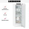 Морозильник Liebherr FNe 5026 купить за 122&nbsp;050.28 ₽ в Москве с доставкой по РФ