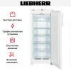 Морозильник Liebherr GNP 2356 Premium NoFrost купить за 188&nbsp;690.31 ₽ в Москве с доставкой по РФ