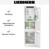 Встраиваемый холодильник Liebherr ICBNSd 5123 купить за 204&nbsp;000.34 ₽ в Москве с доставкой по РФ