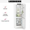Холодильник Liebherr CBNc 5223 купить за 132&nbsp;000.17 ₽ в Москве с доставкой по РФ