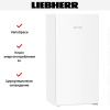 Морозильная камера Liebherr FNe 4224 Plus NoFrost купить за 151&nbsp;490.46 ₽ в Москве с доставкой по РФ