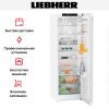 Холодильник Liebherr Re 5220 купить за 125&nbsp;580.47 ₽ в Москве с доставкой по РФ