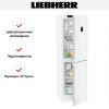 Холодильник Liebherr CNd 5734 - купить онлайн, цена 107 500.15 ₽, стоимость доставки по МСК и РФ от 300 рублей, заказать сейчас! Холодильник Liebherr CNd 5734 купить за 107 500.15 ₽ в Москве с доставкой по РФ