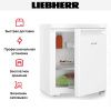 Холодильник Liebherr Re 1000 - купить онлайн, цена 42 000.19 ₽, стоимость доставки по МСК и РФ от 300 рублей, заказать сейчас! Холодильник Liebherr Re 1000 купить за 42 000.19 ₽ в Москве с доставкой по РФ
