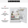 Встраиваемый холодильник Liebherr URc 3700 купить за 120&nbsp;000.34 ₽ в Москве с доставкой по РФ