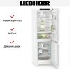Холодильник Liebherr CBNc 5223 купить за 132&nbsp;000.17 ₽ в Москве с доставкой по РФ
