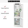 Встраиваемый холодильник Liebherr ICBNSd 5123 купить за 204&nbsp;000.34 ₽ в Москве с доставкой по РФ