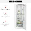 Холодильник Liebherr RBe 5220 купить за 181&nbsp;690.23 ₽ в Москве с доставкой по РФ