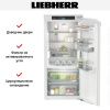 Встраиваемый холодильник Liebherr IRBd 4150 Prime BioFresh - купить онлайн, цена 297 190.42 ₽, стоимость доставки по МСК и РФ от 300 рублей, заказать сейчас! Встраиваемый холодильник Liebherr IRBd 4150 Prime BioFresh купить за 297 190.42 ₽ в Москве с доставкой по РФ