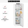 Холодильник Liebherr CNd 5743 - купить онлайн, цена 180 790.40 ₽, стоимость доставки по МСК и РФ от 300 рублей, заказать сейчас! Холодильник Liebherr CNd 5743 купить за 180 790.40 ₽ в Москве с доставкой по РФ