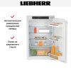 Встраиваемый холодильник Liebherr IRe 3900 купить за 110&nbsp;000.20 ₽ в Москве с доставкой по РФ