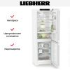 Холодильник Liebherr CBNc 5223 купить за 132&nbsp;000.17 ₽ в Москве с доставкой по РФ