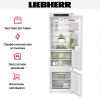 Встраиваемый холодильник Liebherr ICBSd 5122 Plus - купить онлайн, цена 165 000.20 ₽, стоимость доставки по МСК и РФ от 300 рублей, заказать сейчас! Встраиваемый холодильник Liebherr ICBSd 5122 Plus купить за 165 000.20 ₽ в Москве с доставкой по РФ