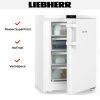 Морозильник Liebherr FNdi 1624 купить за 66&nbsp;000.26 ₽ в Москве с доставкой по РФ