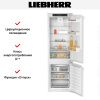 Встраиваемый холодильник Liebherr ICNd 5103 - купить онлайн, цена 140 000.31 ₽, стоимость доставки по МСК и РФ от 300 рублей, заказать сейчас! Встраиваемый холодильник Liebherr ICNd 5103 купить за 140 000.31 ₽ в Москве с доставкой по РФ