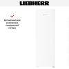 Холодильник Liebherr RBe 5221 купить за 180&nbsp;090.60 ₽ в Москве с доставкой по РФ