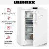 Морозильник Liebherr Fd 1404 купить за 42&nbsp;280.13 ₽ в Москве с доставкой по РФ