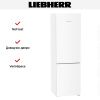 Холодильник Liebherr CNd 5723 Plus NoFrost - купить онлайн, цена 96 420.35 ₽, стоимость доставки по МСК и РФ от 300 рублей, заказать сейчас! Холодильник Liebherr CNd 5723 Plus NoFrost купить за 96 420.35 ₽ в Москве с доставкой по РФ