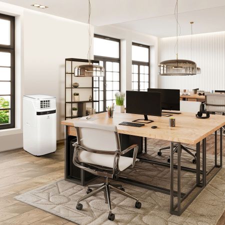 Мобильный кондиционер Electrolux EACM-20 JK/N3 купить за 150&nbsp;330 ₽ в Москве с доставкой по РФ