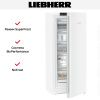 Морозильник Liebherr FNe 4605 купить за 110&nbsp;000.20 ₽ в Москве с доставкой по РФ