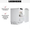 Встраиваемый холодильник Liebherr URPc 375i Prime купить за 234&nbsp;500.39 ₽ в Москве с доставкой по РФ