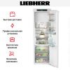 Встраиваемый холодильник Liebherr IRBdi 5151 - купить онлайн, цена 219 990.39 ₽, стоимость доставки по МСК и РФ от 300 рублей, заказать сейчас! Встраиваемый холодильник Liebherr IRBdi 5151 купить за 219 990.39 ₽ в Москве с доставкой по РФ
