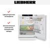 Встраиваемый холодильник Liebherr URd 365i Prime - купить онлайн, цена 140 000.39 ₽, стоимость доставки по МСК и РФ от 300 рублей, заказать сейчас! Встраиваемый холодильник Liebherr URd 365i Prime купить за 140 000.39 ₽ в Москве с доставкой по РФ