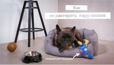 Стиральная машина Electrolux EW9F1R61B купить за 122&nbsp;570 ₽ в Москве с доставкой по РФ