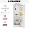 Холодильник Liebherr Rd 5000 Pure купить за 94&nbsp;000.48 ₽ в Москве с доставкой по РФ