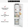 Встраиваемый холодильник Liebherr ICNd 5603 купить за 170&nbsp;000.31 ₽ в Москве с доставкой по РФ