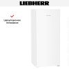 Морозильник Liebherr FNd 7026 - купить онлайн, цена 187 000.18 ₽, стоимость доставки по МСК и РФ от 300 рублей, заказать сейчас! Морозильник Liebherr FNd 7026 купить за 187 000.18 ₽ в Москве с доставкой по РФ