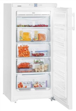 Морозильник Liebherr GNP 1956 - купить онлайн, цена 64 770.14 ₽, стоимость доставки по МСК и РФ от 300 рублей, заказать сейчас! Морозильник Liebherr GNP 1956 купить за 64 770.14 ₽ в Москве с доставкой по РФ