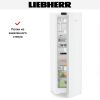 Холодильник Liebherr Rd 5220 купить за 119&nbsp;000.40 ₽ в Москве с доставкой по РФ